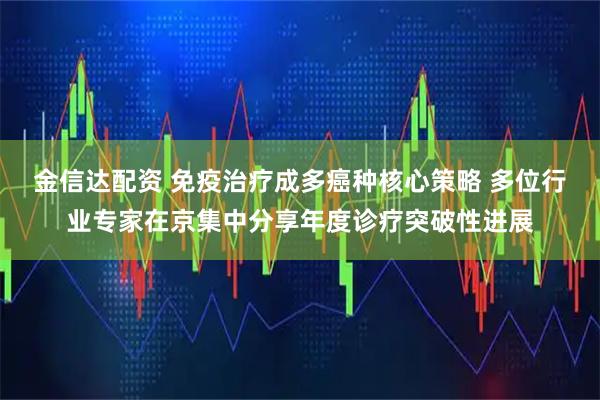 金信达配资 免疫治疗成多癌种核心策略 多位行业专家在京集中分享年度诊疗突破性进展
