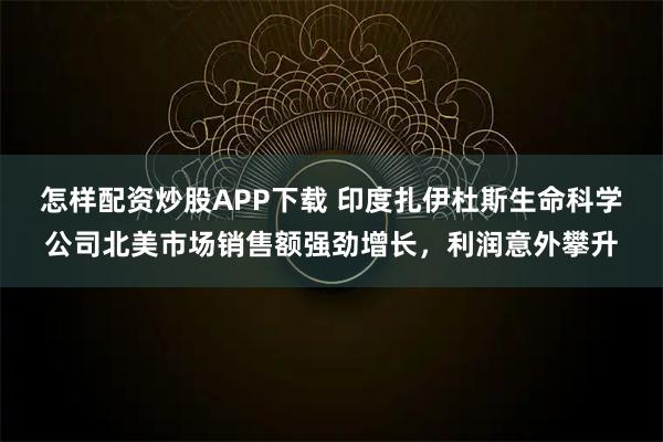 怎样配资炒股APP下载 印度扎伊杜斯生命科学公司北美市场销售额强劲增长，利润意外攀升